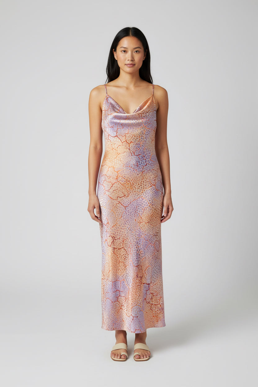 Crack and Bloom Dress