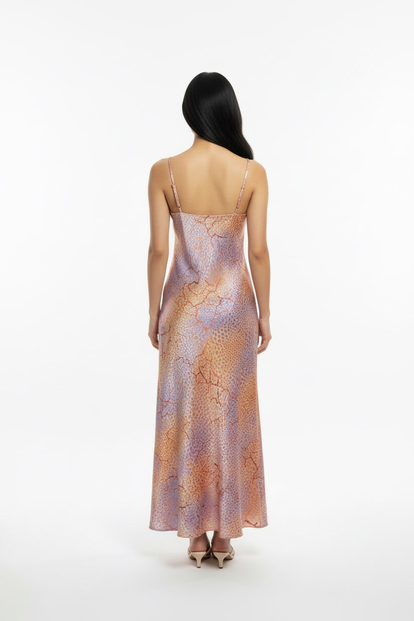 Crack and Bloom Dress